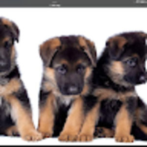 Meet your Posher, Alanna